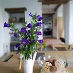 Au Logis De La Mongie 3*