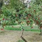 Au Logis De La Mongie