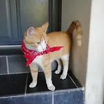 Au Logis De La Mongie