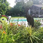 Bed & Breakfast Au Logis De La Mongie Soullans