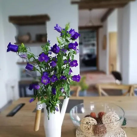 Au Logis De La Mongie 3*