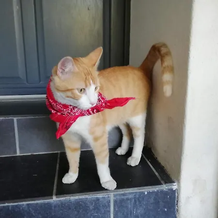 Au Logis De La Mongie