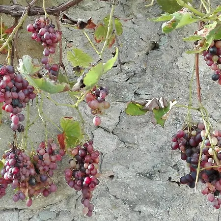 Couette-café Au Logis De La Mongie