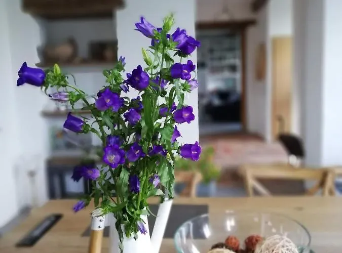 Au Logis De La Mongie 3*