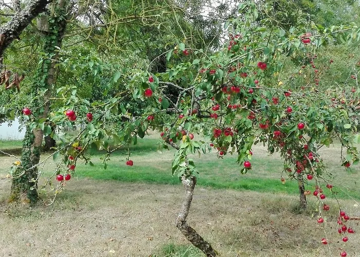 Au Logis De La Mongie