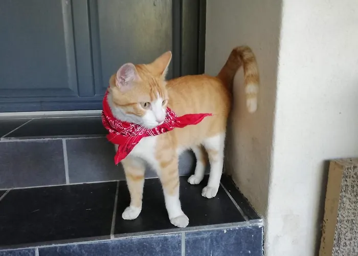 Au Logis De La Mongie