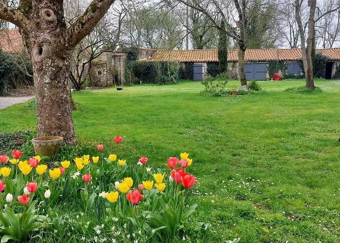 Au Logis De La Mongie 3* Soullans